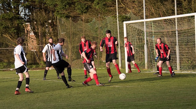 重新审视生 重新审视生