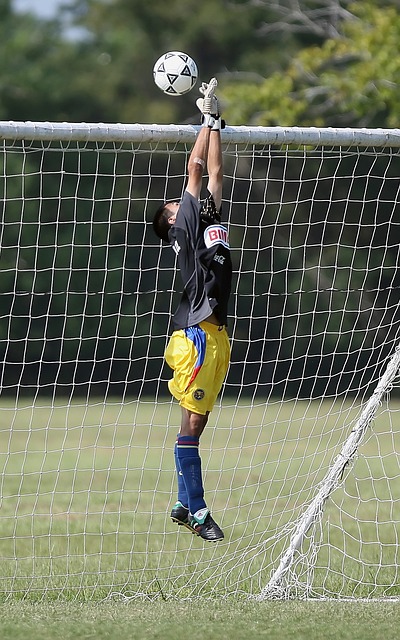 自己的表现 自己的表现