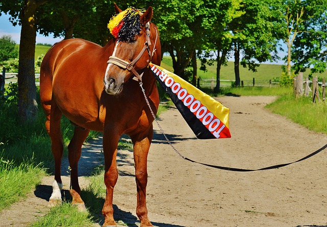 而国家队虽 而国家队虽