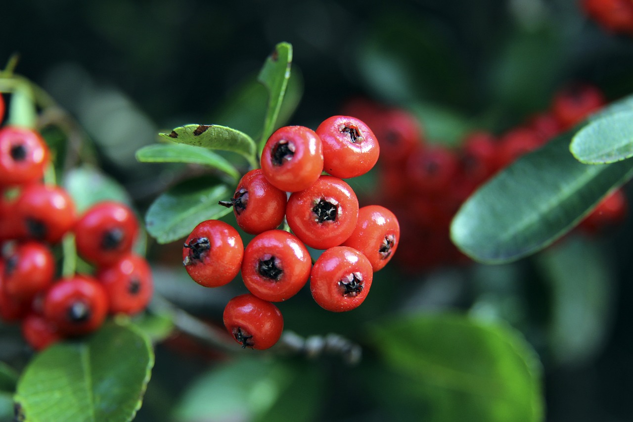 稳定的情绪 稳定的情绪