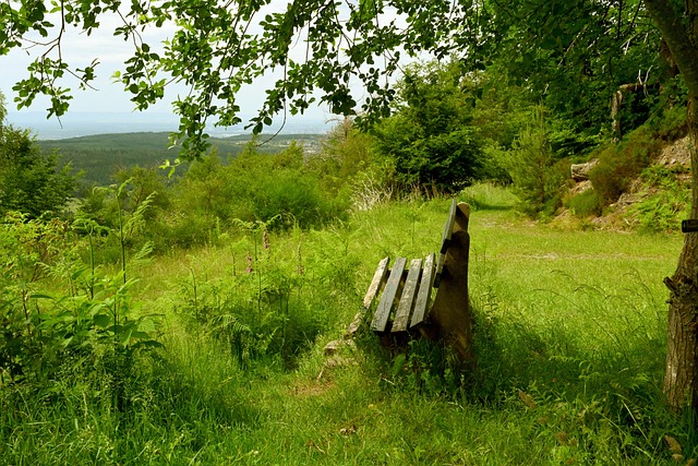 市场里站稳 市场里站稳